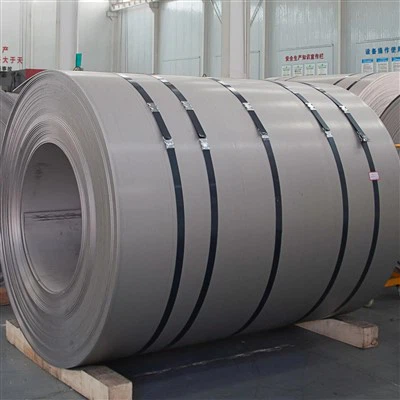 Titanium GR2 zavojnica